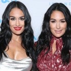 Nikki and Brie Bella