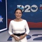 Julia Louis Dreyfus DNC