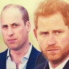 ‘Battle of Brothers’ Book Details the Royal Family Fallout Between Prince Harry and Prince William