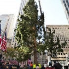 Rockefeller Tree