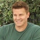 David Boreanaz Talks Return to ‘SEAL Team’ for Season 4 Amid COVID-19 Pandemic (Exclusive) 