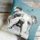 pet gifts for holidays