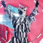 The Zebra from 'The Masked Dancer'