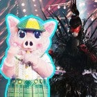 The Masked Singer