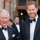 Prince Charles and Prince Harry