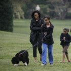 Obama Family Dog Bo