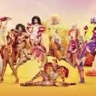 All Stars 6