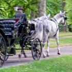 carriage
