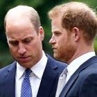 Princes Harry and William Unveil Diana Statue: Royal Expert and Body Language Reader Decode Reunion