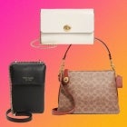 kate spade coach bags nordstrom anniversary sale 