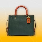 Coach Rogue 25 Handbag in Colorblock