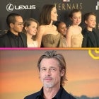 Brad Pitt's Petition for Review in His and Angelina Jolie's Custody Case Denied