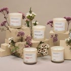 Dossier and Other Affordable Candle Dupes
