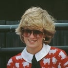 princess diana in sheep sweater
