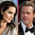 Brad Pitt Sues Angelina Jolie for Selling Their Winery to Russian Oligarch