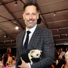 Joe Manganiello - 1920