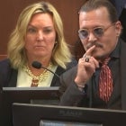 Psychologist Says Amber Heard Has PTSD From Johnny Depp's Alleged Violent Behavior (Day 14)