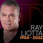 Ray Liotta, 'Goodfellas' Star, Dies at 67