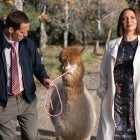 What's new on Apple TV+ in June