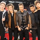Niall Horan, Harry Styles, Liam Payne, Zayn Malik and Louis Tomlinson of One Direction
