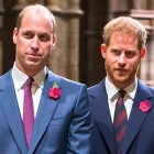  Prince William and Prince Harry
