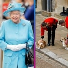 Queen Elizabeth's Dog Trainer Says Corgis Are 'Perceptive' and Aware of Her Death (Exclusive)