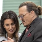 Johnny Depp Joelle Rich