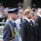 Prince Harry Prince William