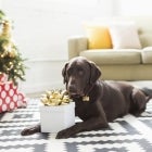 pet gifts 2022