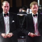 Prince William and Prince Harry