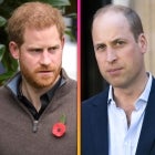 Prince Harry’s ‘Spare’ Revelations: William and Kate Watched Meghan Markle on ‘Suits’ and More