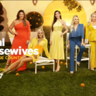 Real Housewives of Orange County' Season 17 Trailer