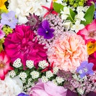 Mother's Day Flower Deals 2023