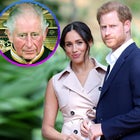 Prince Harry, Meghan Markle and King Charles