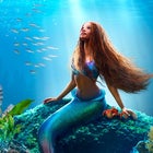 How to Watch The Little Mermaid