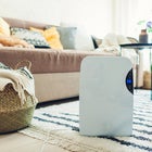 The Best Dehumidifiers to Shop Now