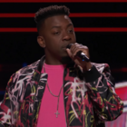 the voice season 24 stee