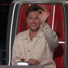 niall horan the voice season 24