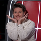 niall horan the voice