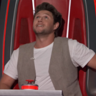 niall horan the voice