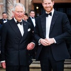 Prince Harry's Birthday Call to King Charles Could Be 'Turning Point' in Royal Rift