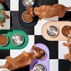 Wild One Black Friday Sale