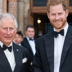 prince-harry-king-charles-flight-joke