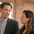 michael weatherly cote de pablo tony ziva ncis