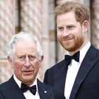 Prince Harry Visits King Charles Amid Cancer Diagnosis as Prince William Takes on More Royal Duties