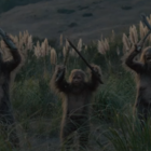 sasquatch sunset trailer