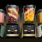 Vitamix Gold