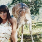 dakota johnson bustle cover