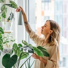 Bring the outdoors inside