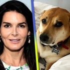 Angie Harmon Claims Delivery Driver Killed Her Dog, Company Says It's Investigating